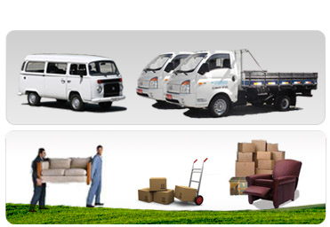 GOLFINHO TRANSPORTES